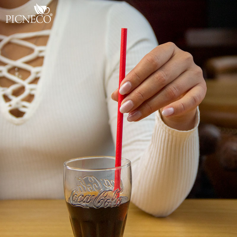 товар Трубочки для коктейлей "Сочный арбуз", 195*6 мм, 250 шт. TB051