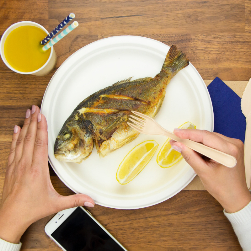 товар Тарелка круглая из целлюлозы, d=260 мм, белая TL005