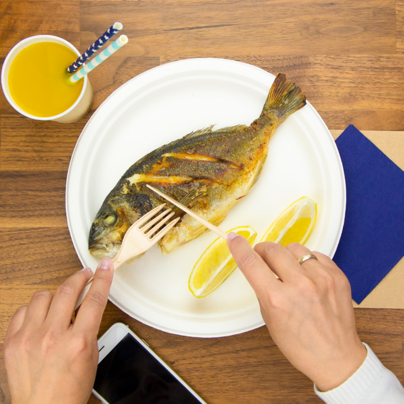 товар Тарелка круглая из целлюлозы, d=260 мм, белая TL005