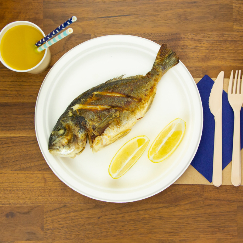 товар Тарелка круглая из целлюлозы, d=260 мм, белая TL005