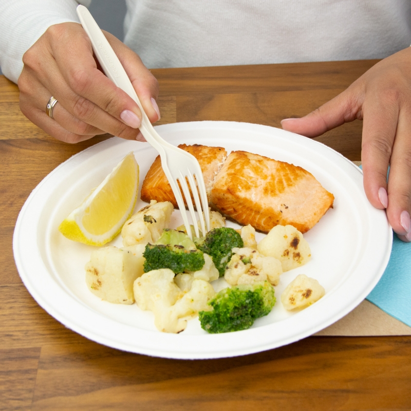 товар Тарелка круглая из целлюлозы, d=230 мм, белая TL013