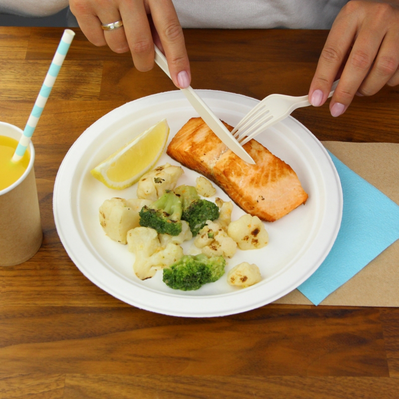 товар Тарелка круглая из целлюлозы, d=230 мм, белая TL013