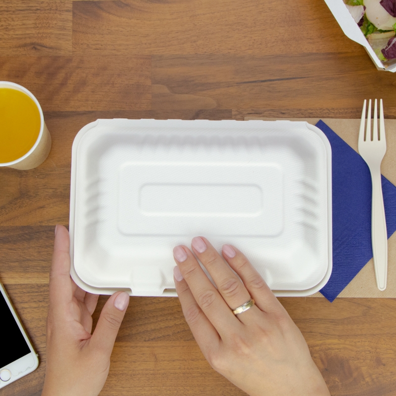 товар Одноразовый ланч-бокс, 900 мл, 230*140*45 мм LB031