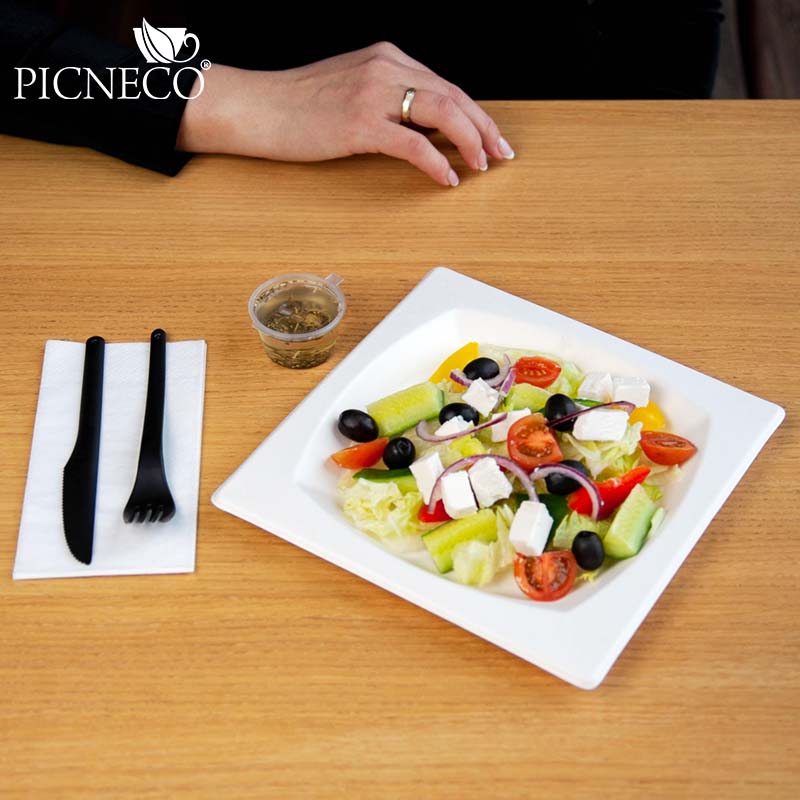 товар Тарелка квадратная с бортиком 210 мм TL210