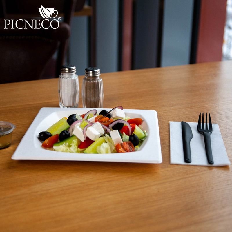 товар Тарелка квадратная с бортиком 210 мм TL210