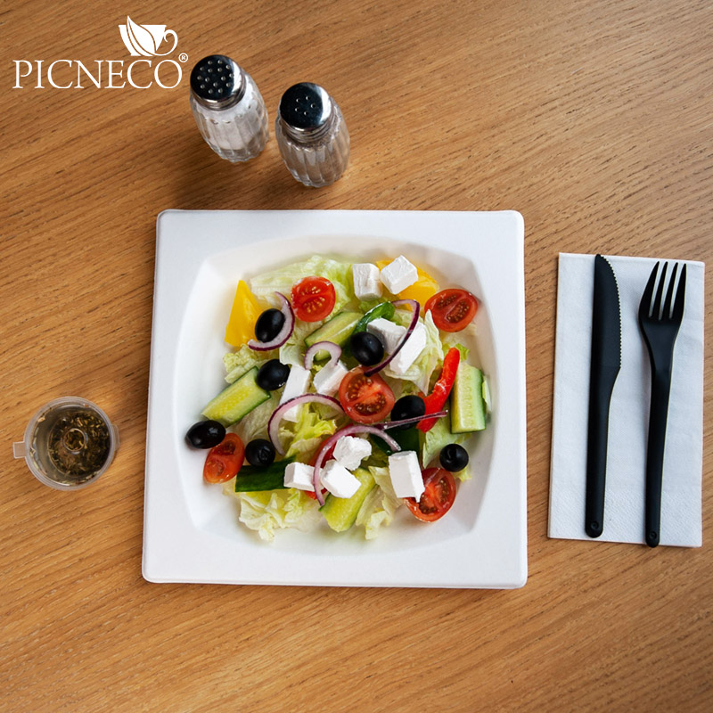 товар Тарелка квадратная с бортиком 210 мм TL210