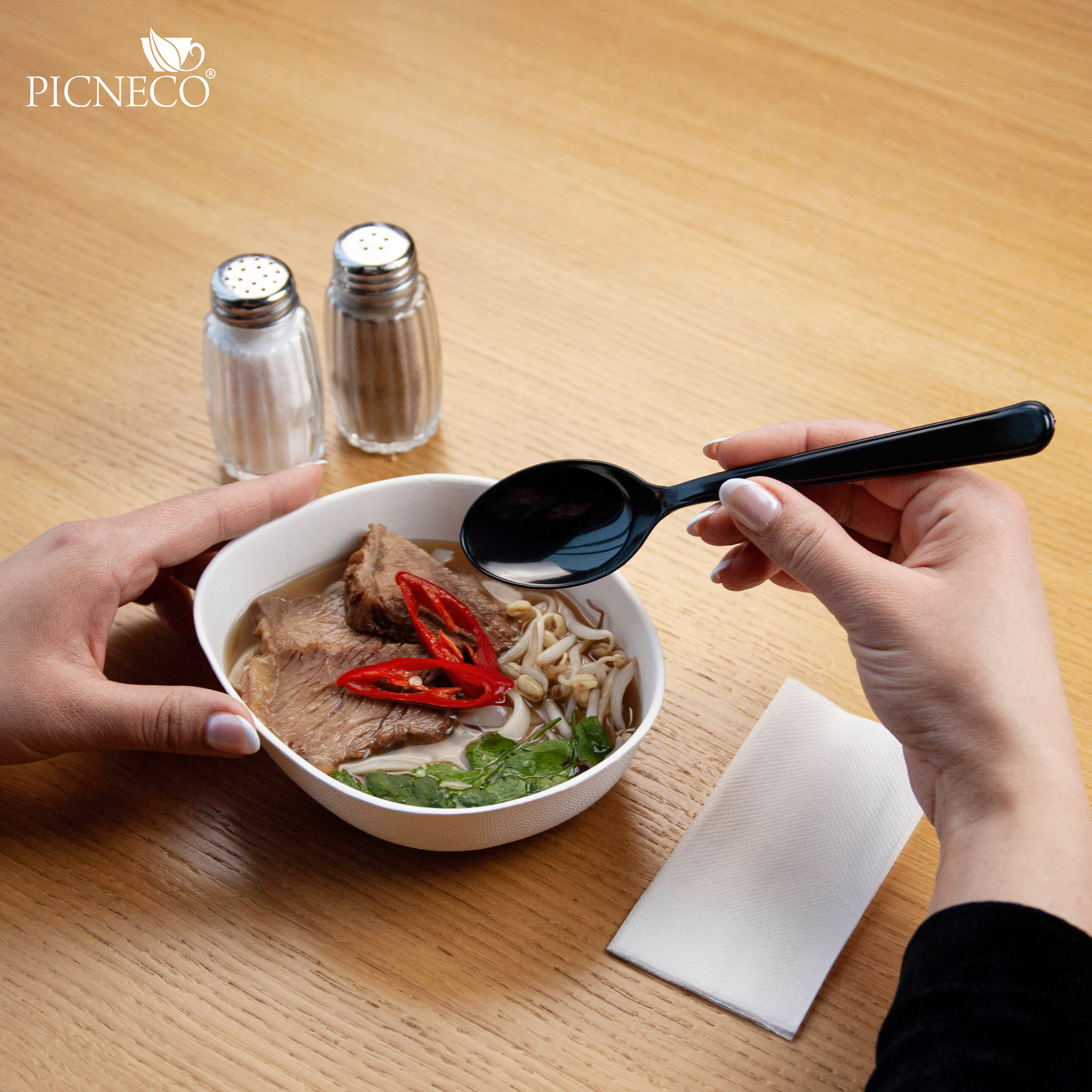 товар Набор для первых блюд в инд. упаковке (черная ложка, салфетка) V1-1006