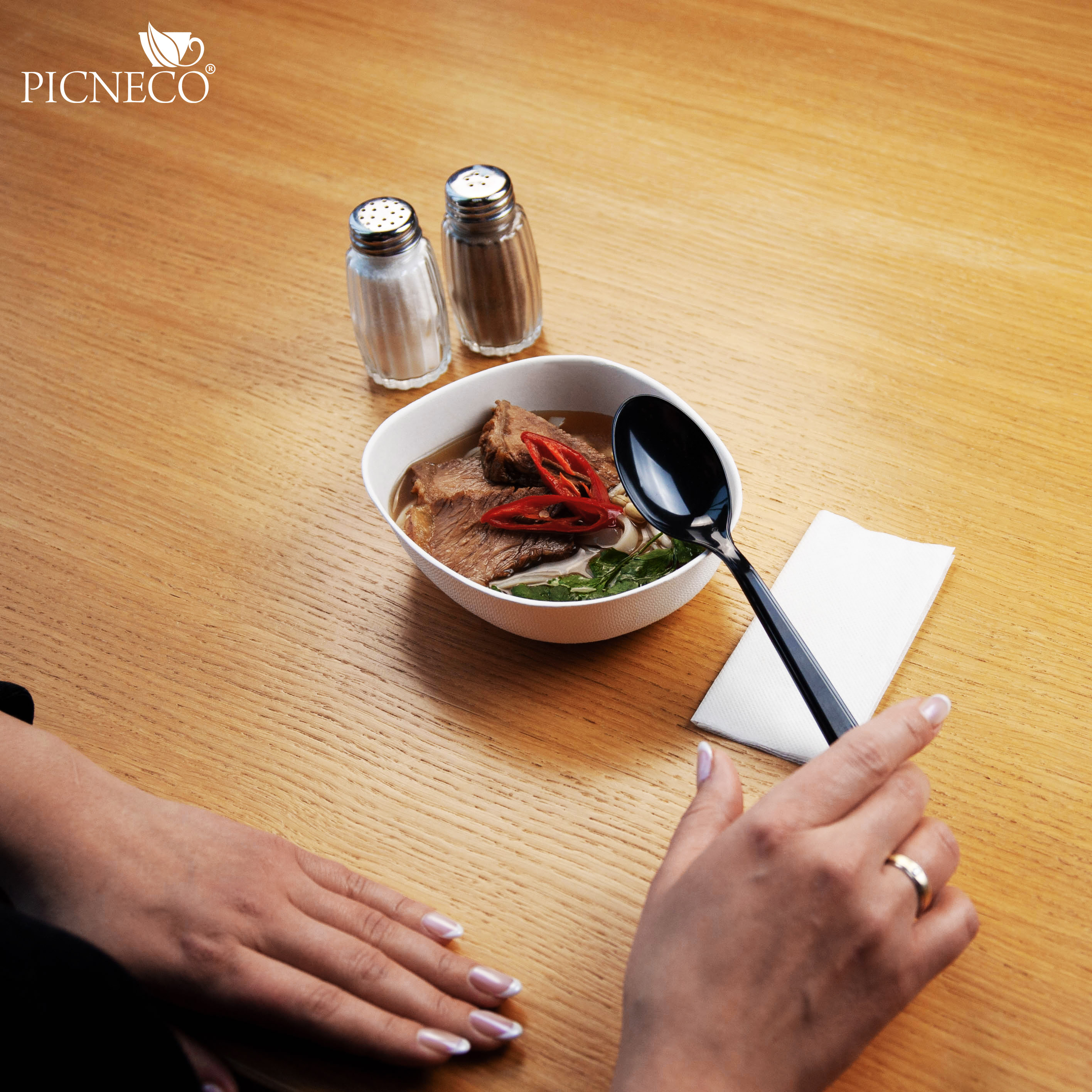 товар Набор для первых блюд в инд. упаковке (черная ложка, салфетка) V1-1006