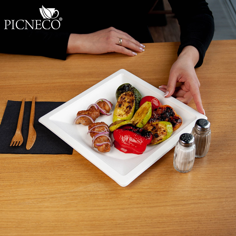 товар Тарелка квадратная с бортиком, из сахарного тростника, 260 мм TL260