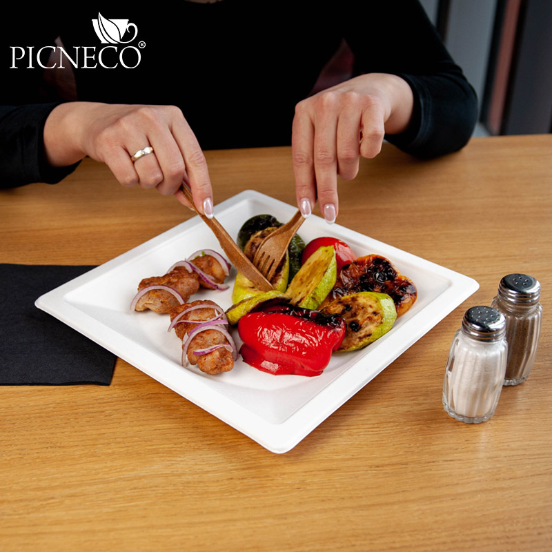 товар Тарелка квадратная с бортиком, из сахарного тростника, 260 мм TL260