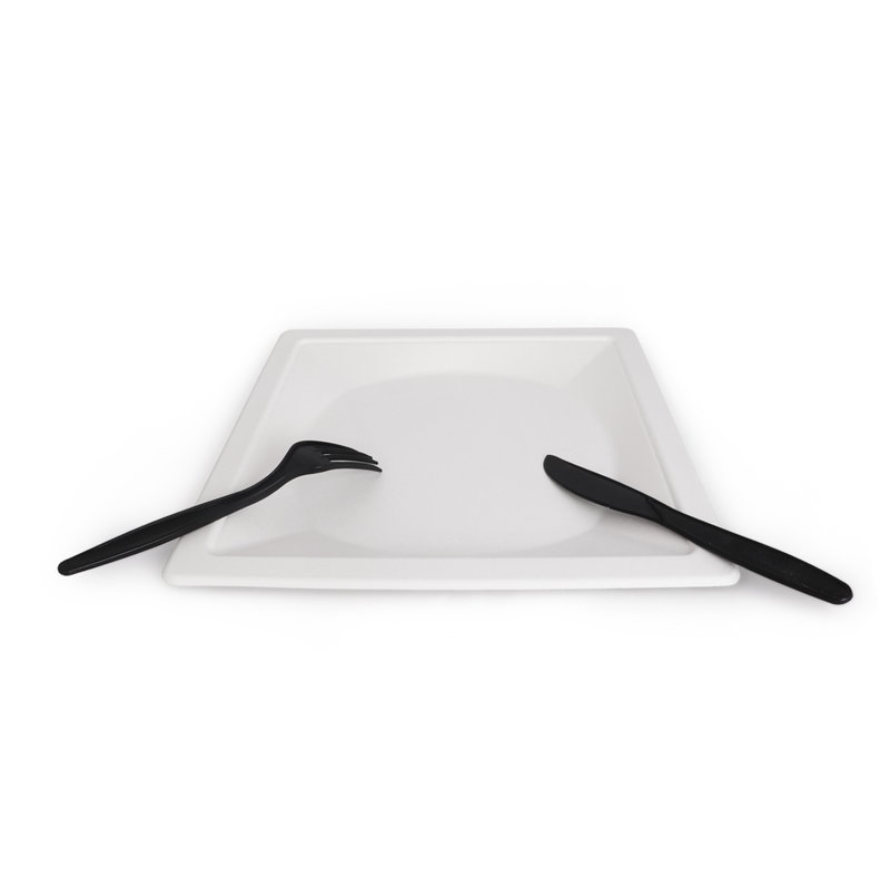 товар Тарелка квадратная с бортиком, из сахарного тростника, 260 мм TL260