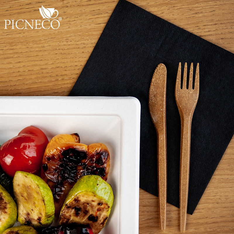 товар Тарелка квадратная с бортиком, из сахарного тростника, 260 мм TL260