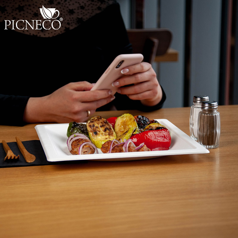 товар Тарелка квадратная с бортиком, из сахарного тростника, 260 мм TL260