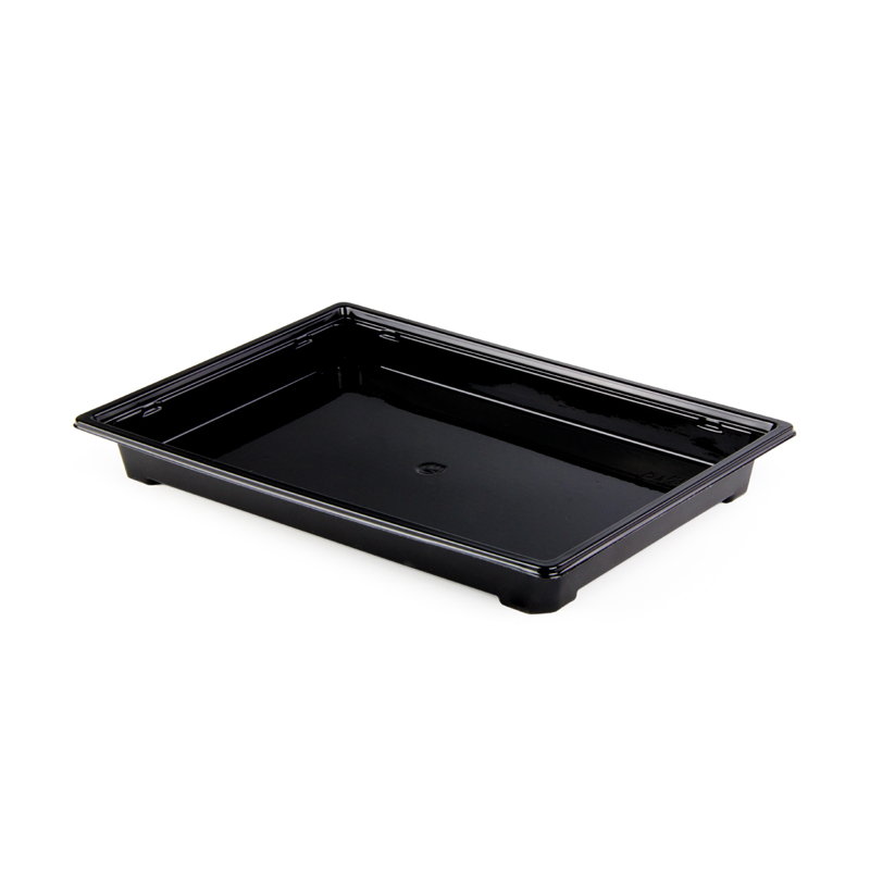 товар Контейнер [дно] для суши ПЭТ, 242*168*25 мм, серия Сп-25 PKS25