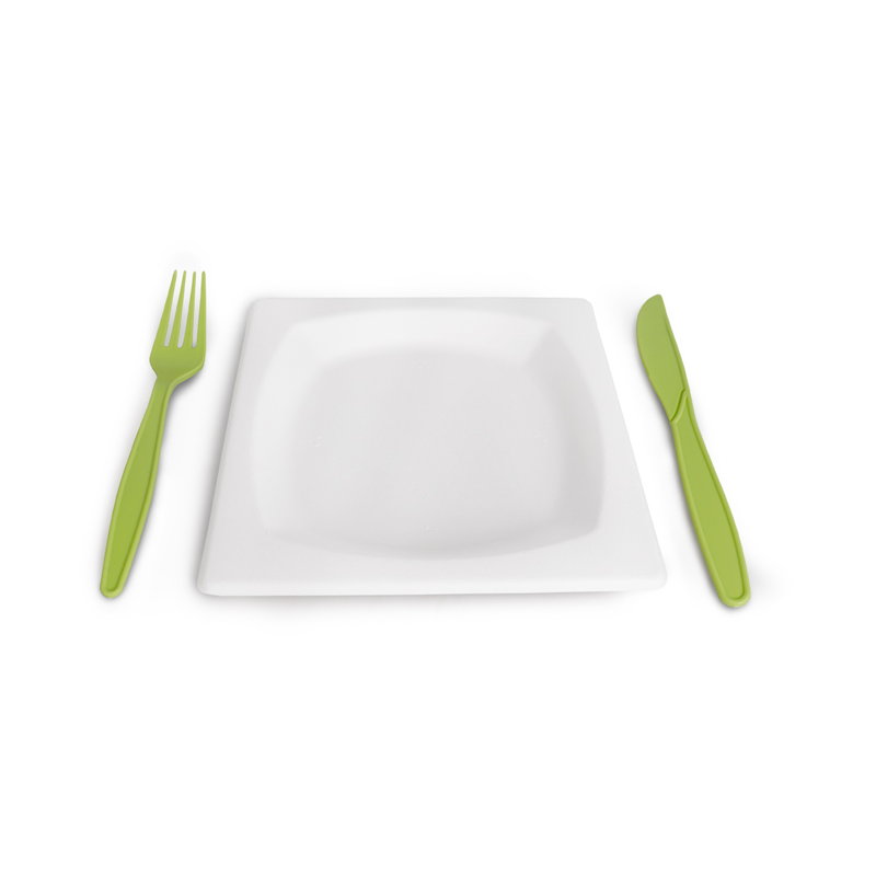 товар Тарелка квадратная с бортиком, из сахарного тростника, 170 мм TL170